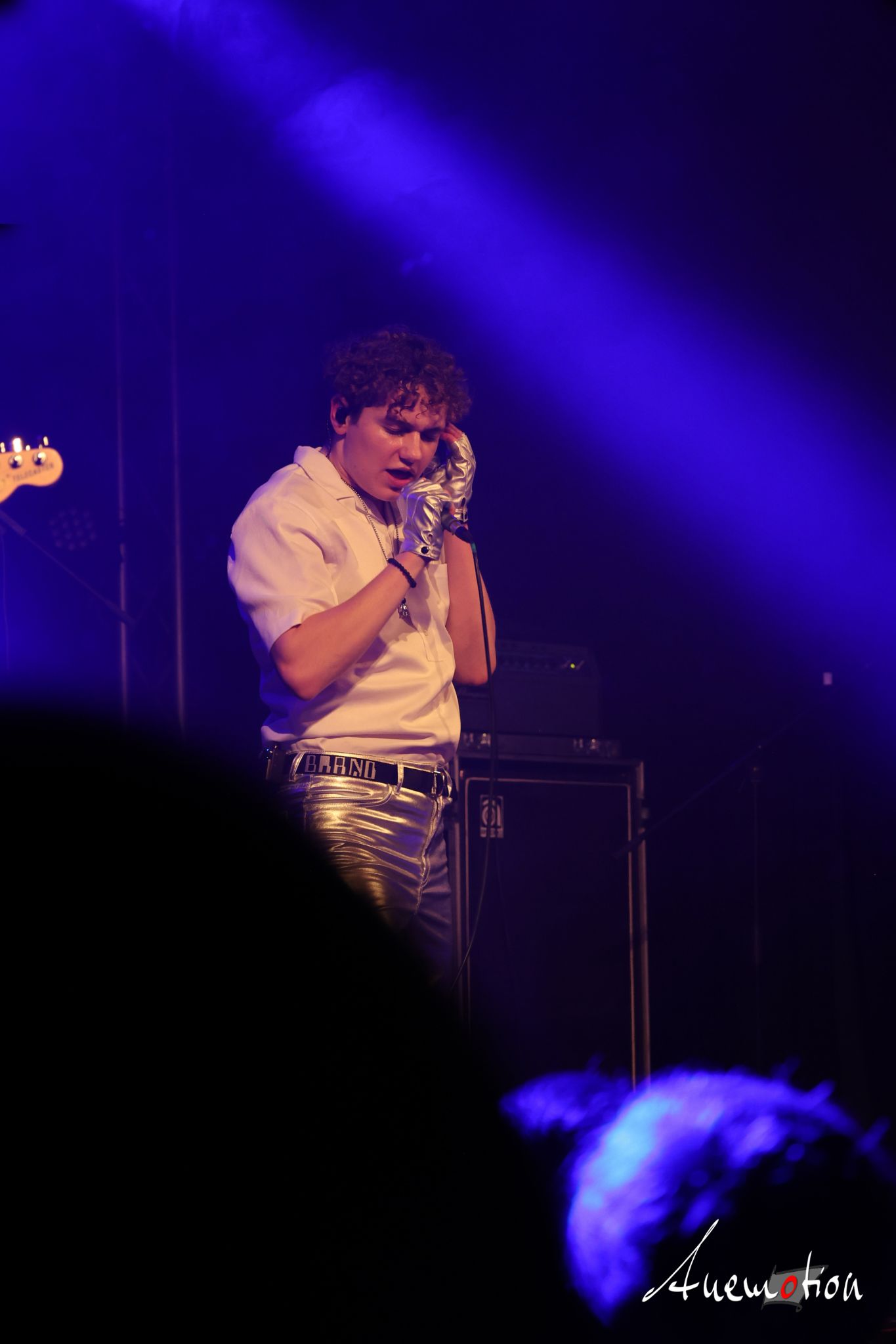 ElephantsFalling (75)